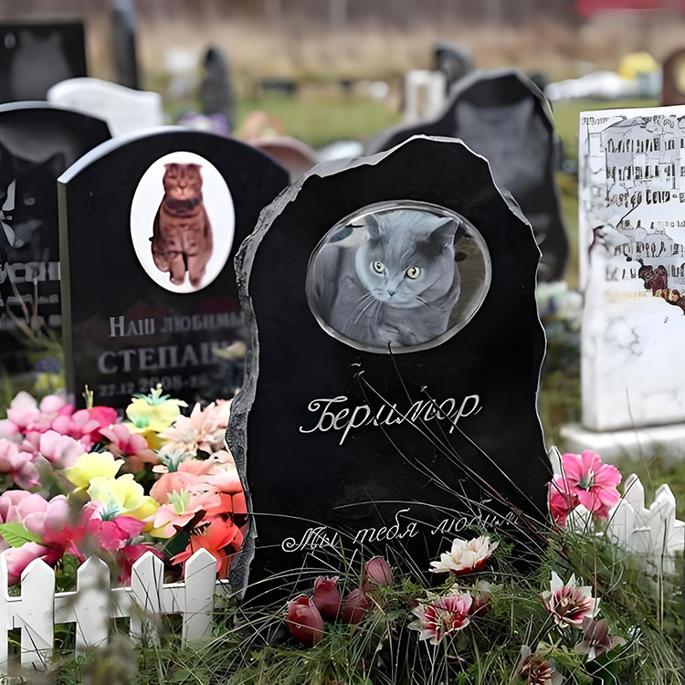 Какие варианты настройки поднимают мемориальные доски PET за пределами основных имен?