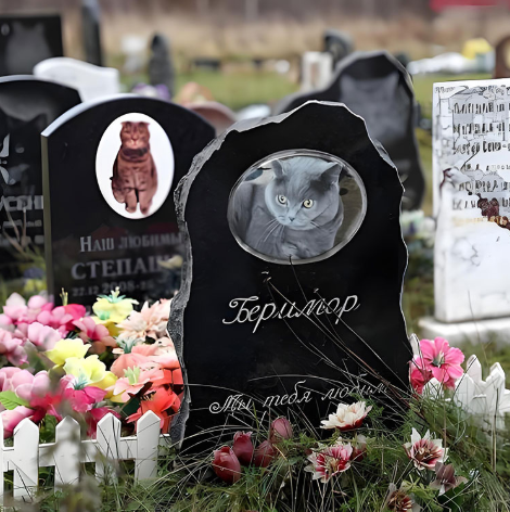 Почему мы должны рассматривать мемориал домашнего животного?